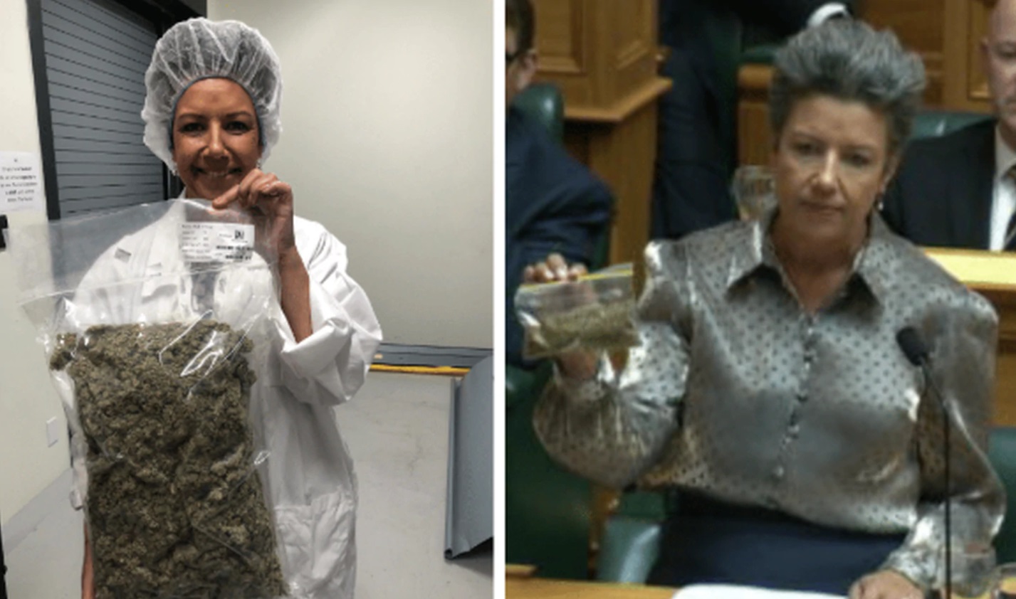 Winston Peters used an internet meme to mock MP Paula Bennett during Question Time. Photo:...