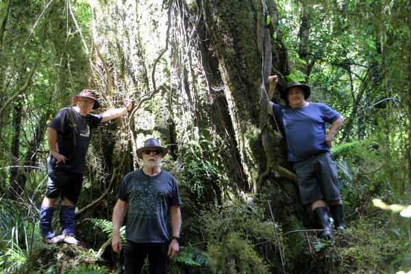 Kevin (left) and Philip Barker and Canterbury University forestry professor Euan Mason with a...