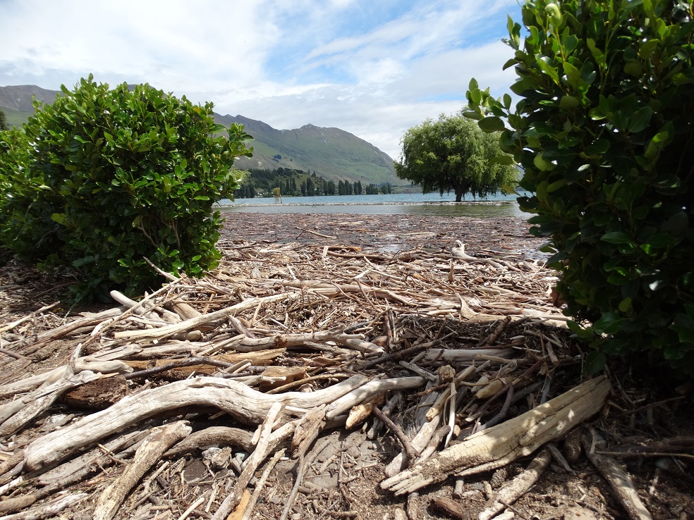 The rain and flooding brought tonnes of driftwood to the lakeshore at Wanaka township. Photo:...