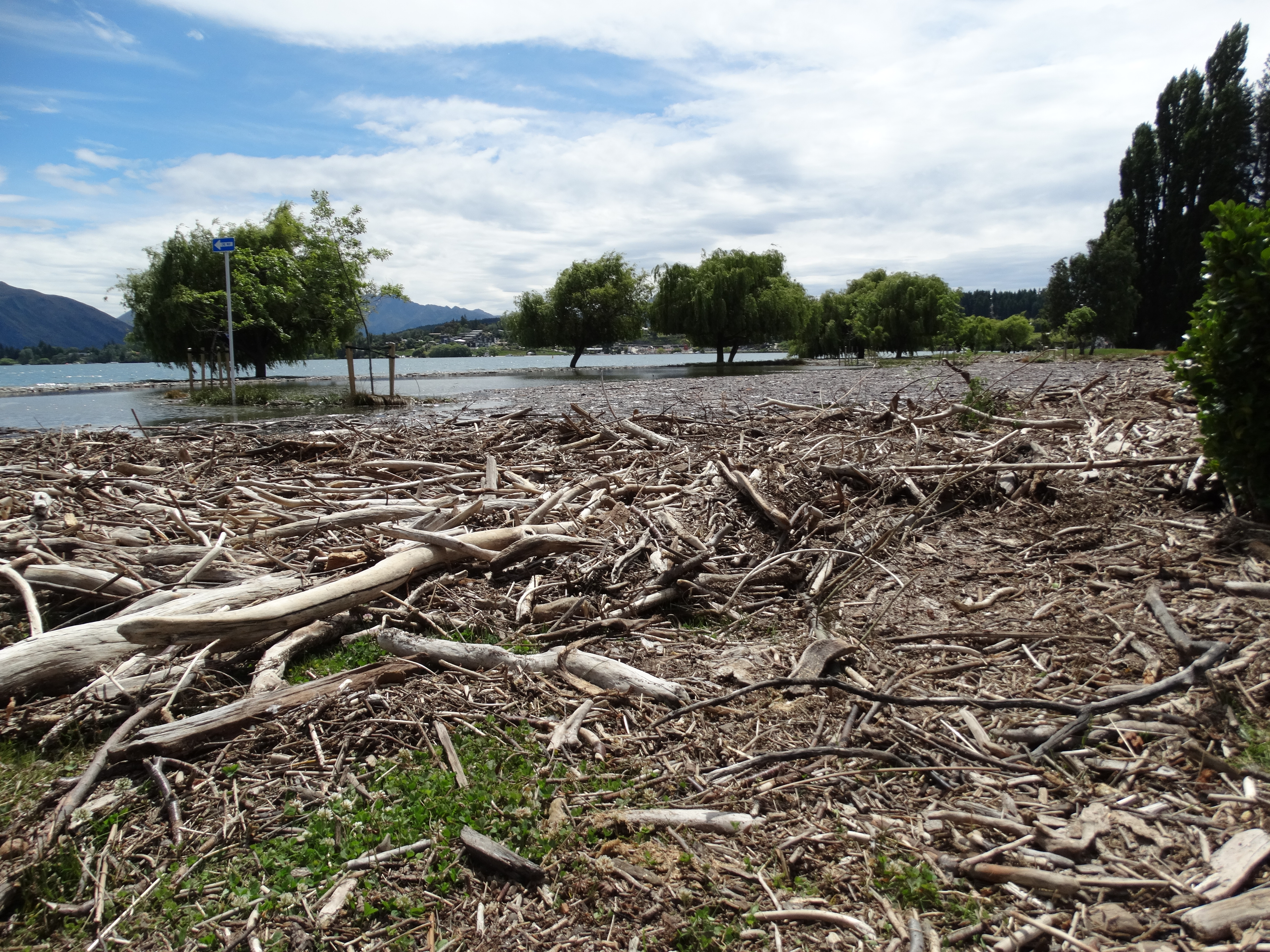 The swathe of driftwood (at left) along the edge of Lake Wanaka. Photos: Mark Price