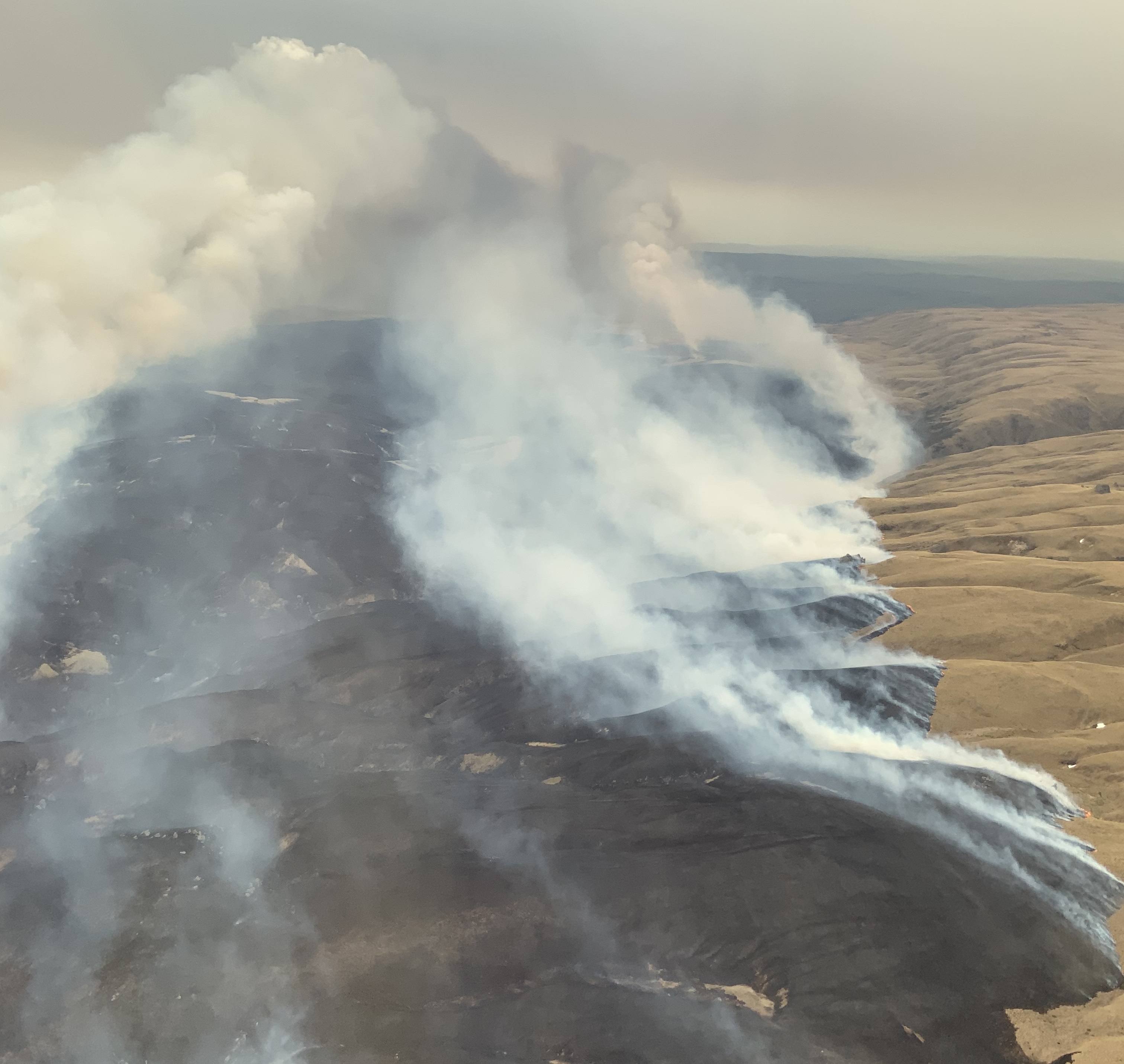 The fire near Middlemarch has spread rapidly in hot, windy conditions, burning through 2400ha of...