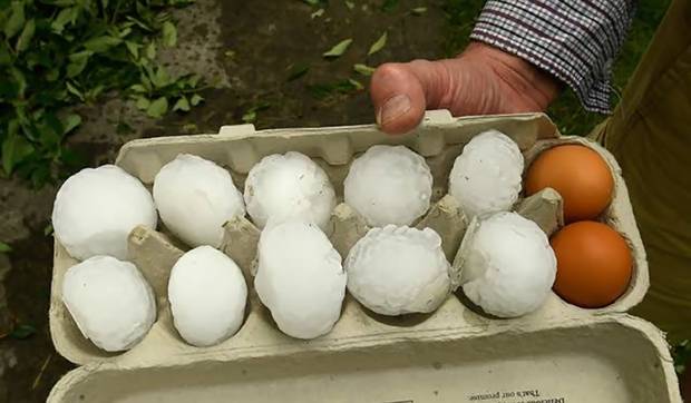 An egg tray shows the scale of some of the hailstones. Photo: Luke McGoldrick via NZ Herald 