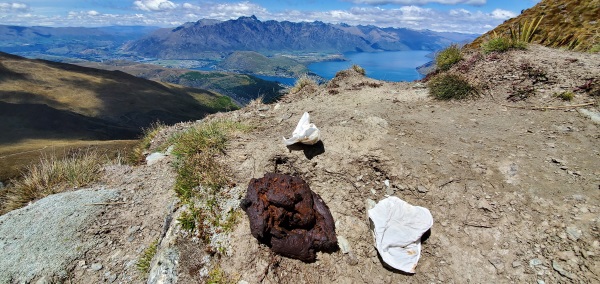 Excrement on the Ben Lomond track. Photo: John Presto