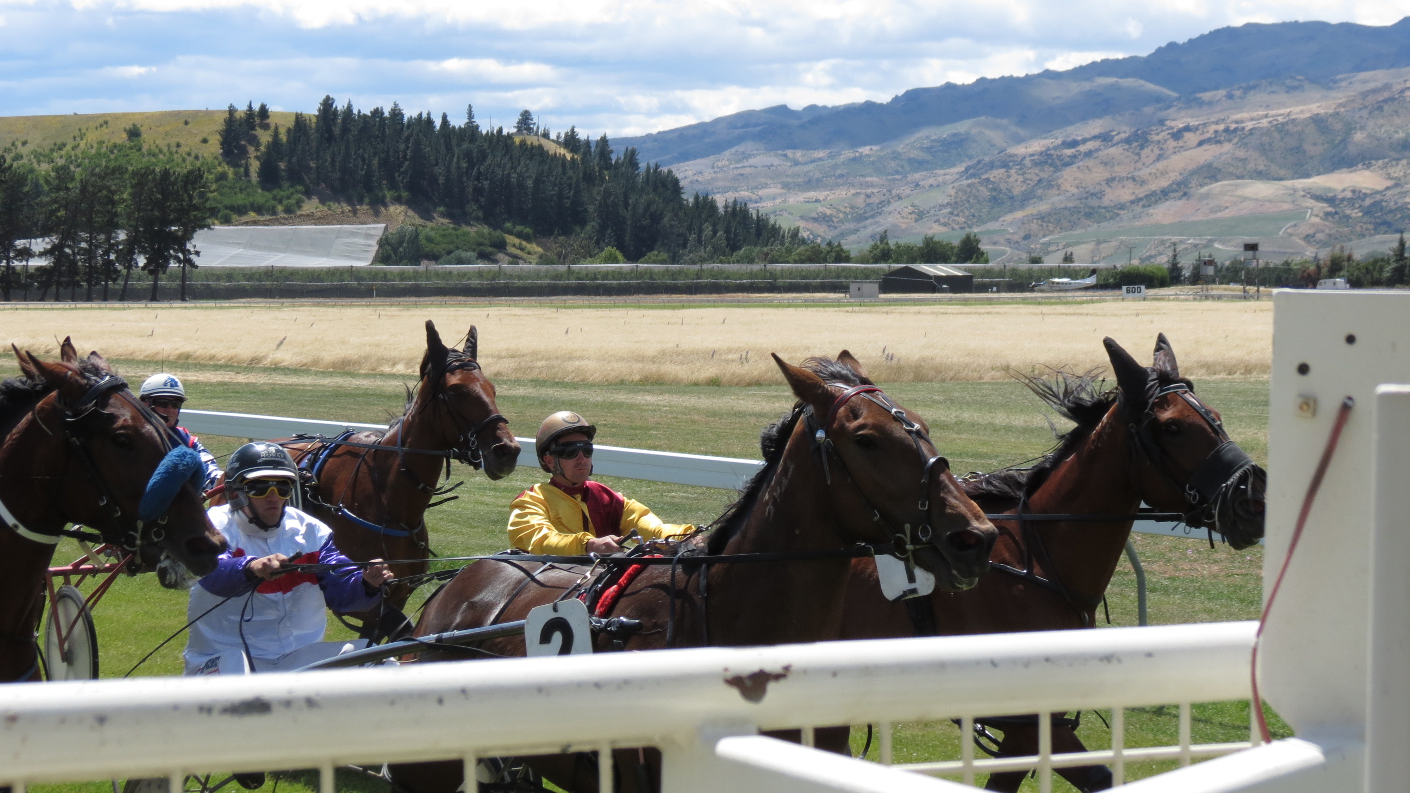 Lining up, ready to start the second race at the Wyndham Harness Racing Club’s race day are (from...
