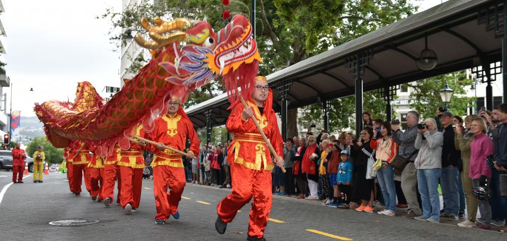 Dragon dancing at last year's Chinese New Year celebration in Dunedin. Photo: Gregor Richardson 