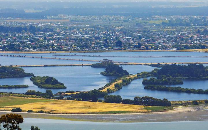 Oxidation ponds in Christchurch. Photo: Christchurch City Council/Supplied