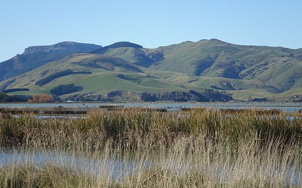 Lake Ellesmere Photo: RNZ