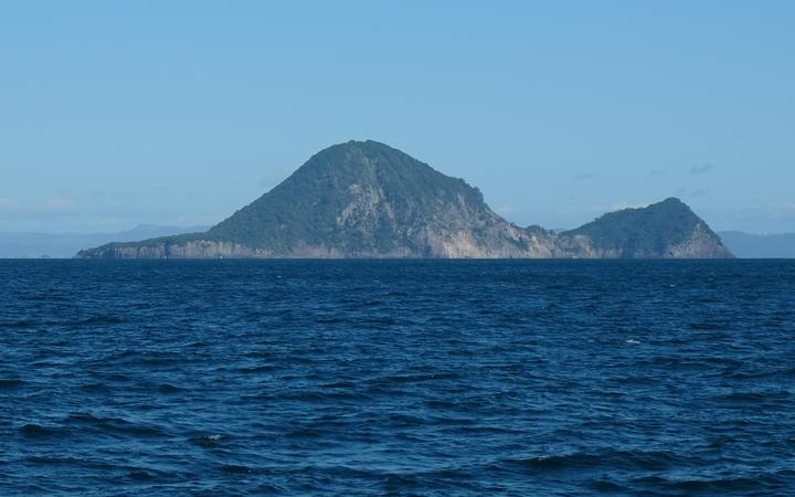 Moutohorā Island in Bay of Plenty. Photo: Public domain