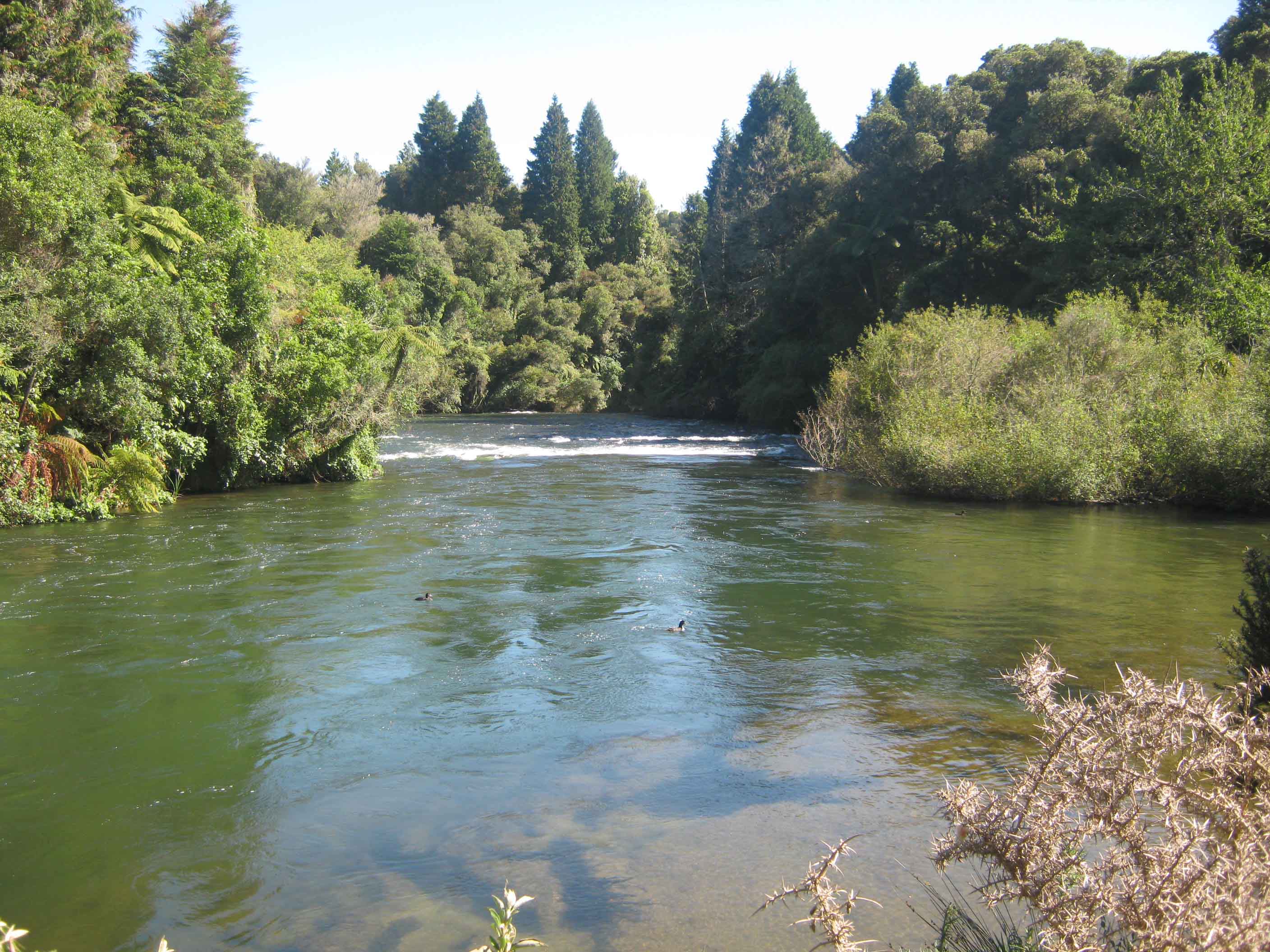 kaitunariver01.jpg Otago Daily Times Online News