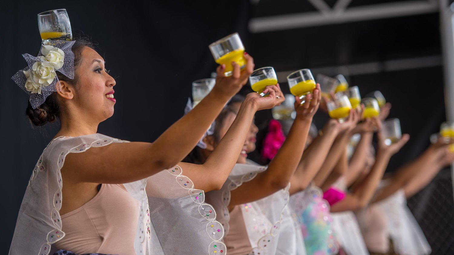 The free Culture Galore festival is on Saturday. Photo: Newsline/CCC