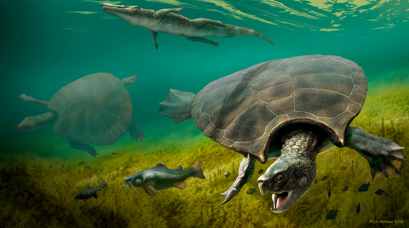 An artist's impression of Stupendemys geographicus, which lived in lakes and rivers in northern...