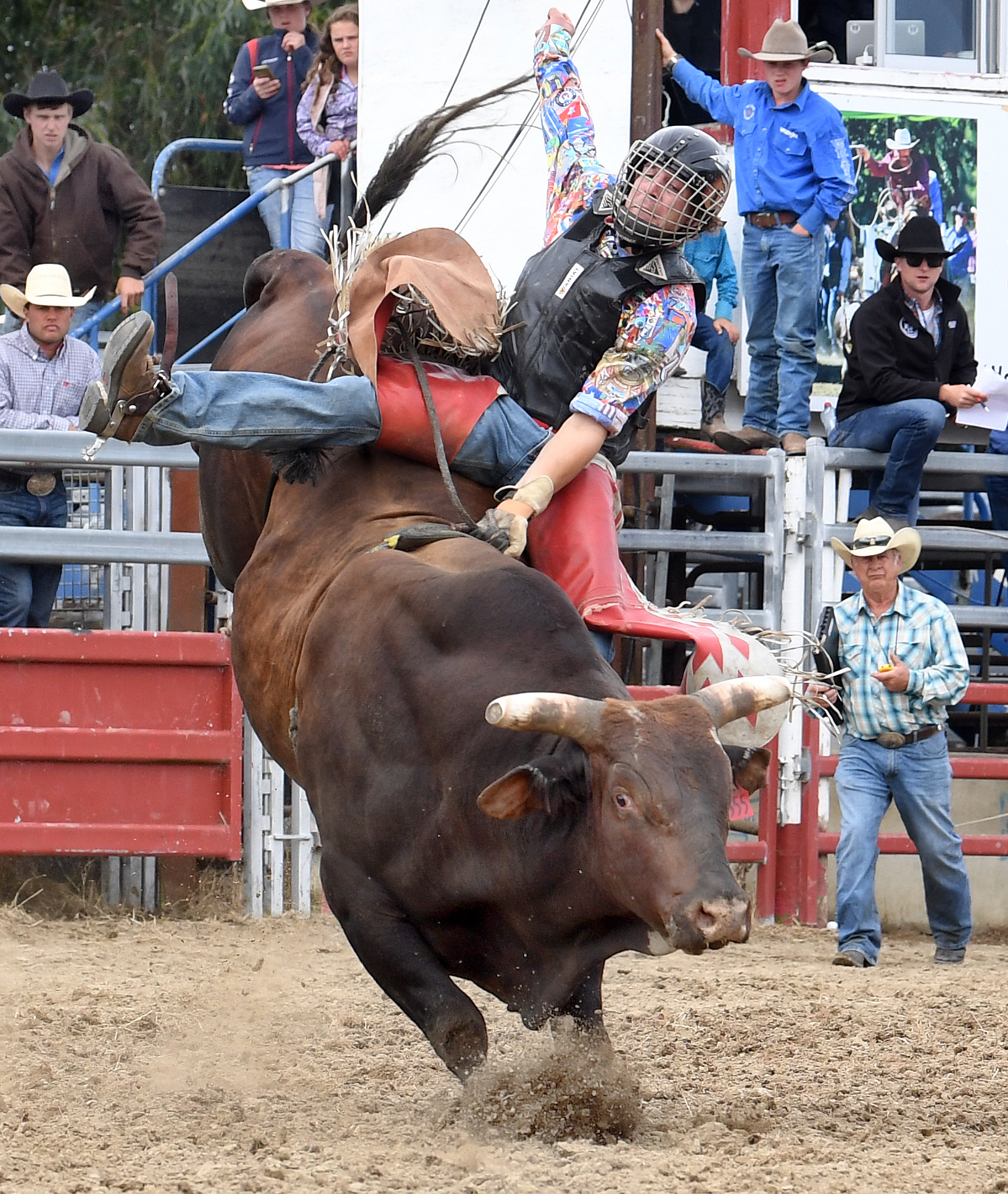 Omarama cowboy Clint McAughtrie (23) competes in the open bull ride event at the Outram rodeo...