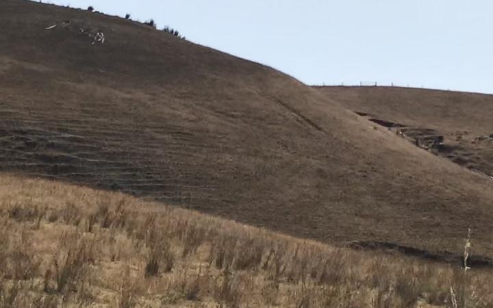 Northland is experiencing drought, while parts of the South Island are facing more rain. Photo:...