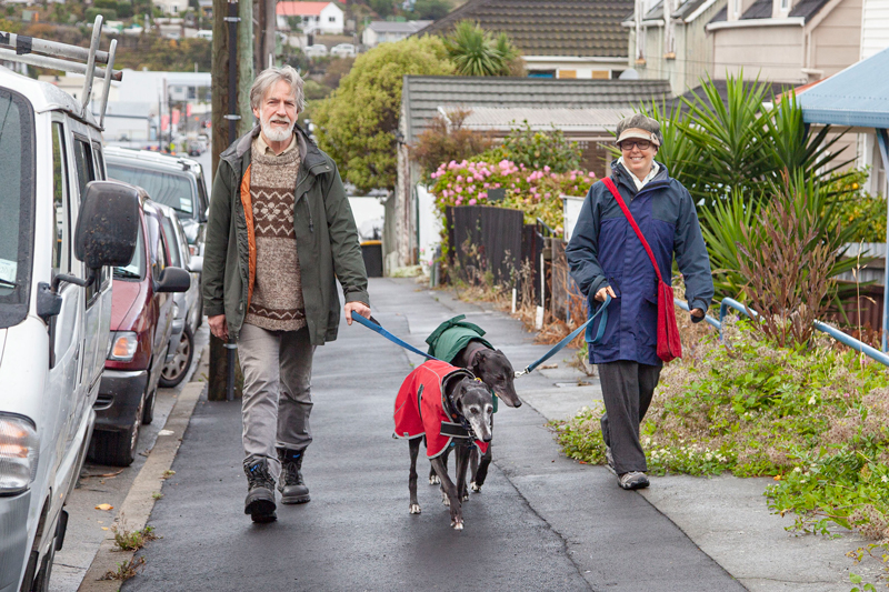 Walking the greyhounds on London St, Lyttelton.
