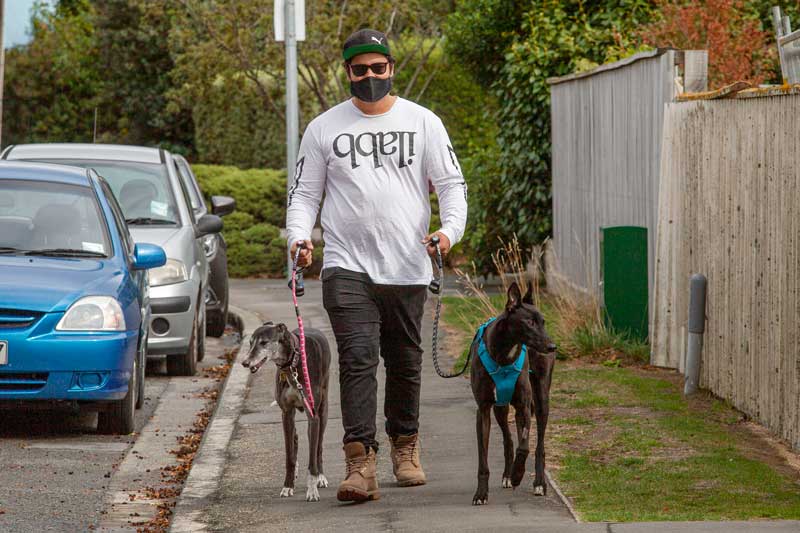 Taking the greyhounds for a walk on Ashgrove Tce, Somerfield.