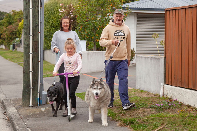 Walking the dogs on Wilsons Rd, St Martins.