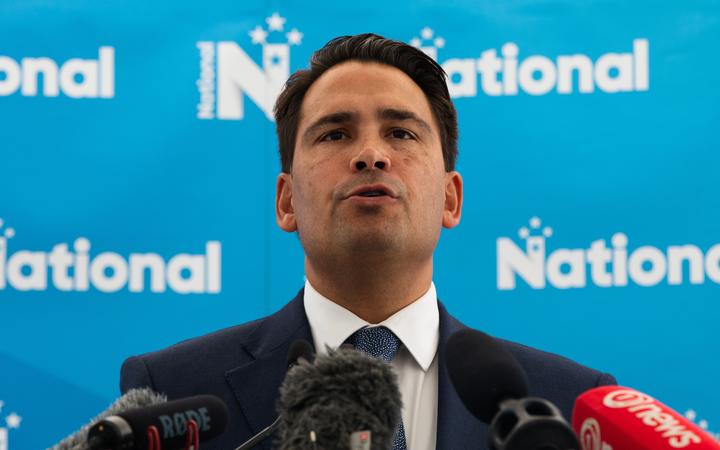 Simon Bridges laying out the economic priorities for National. Photo: RNZ/Dan Cook