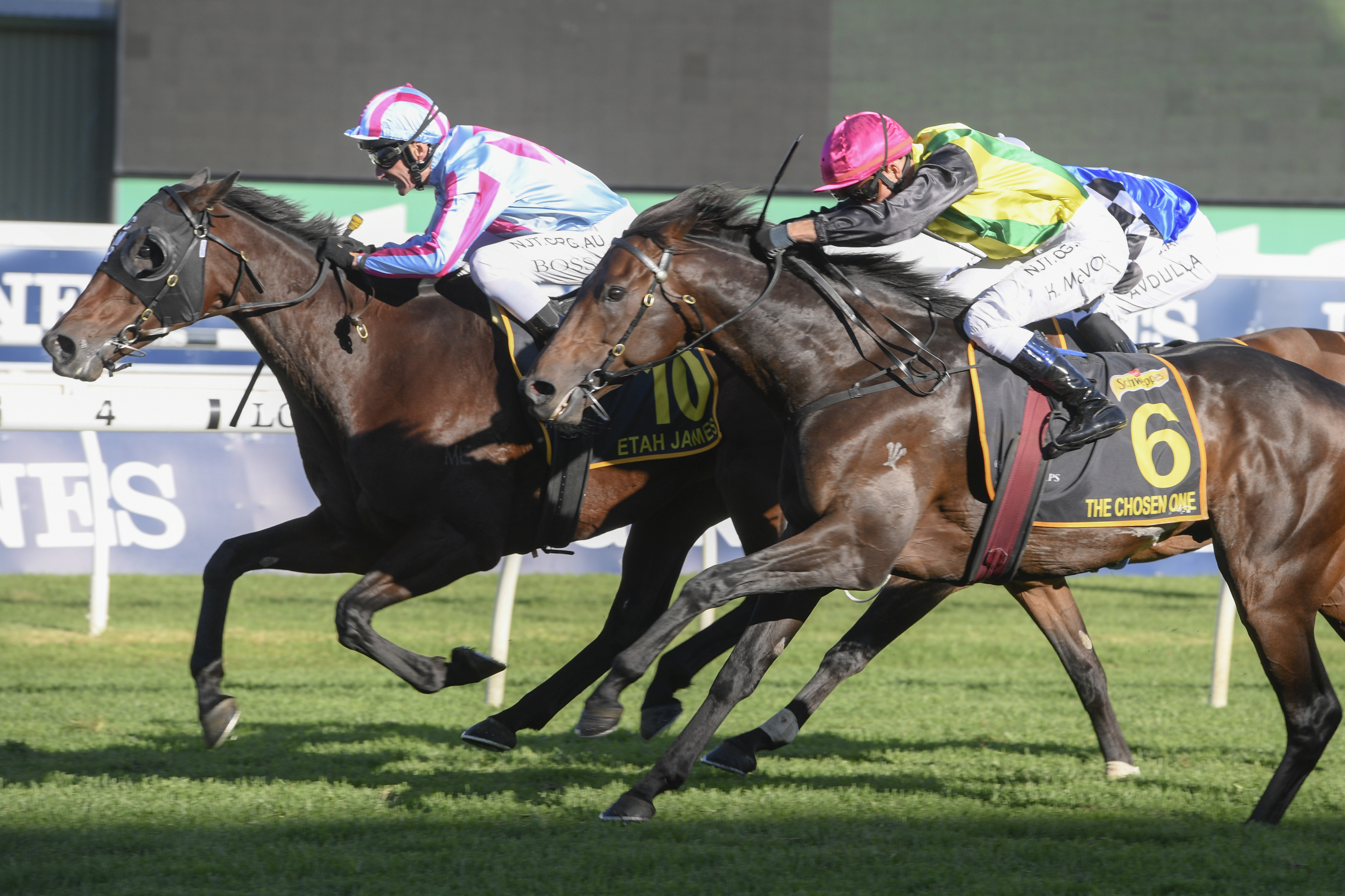 Etah James just finishes ahead of The Chosen One in the Sydney Cup at Randwick on Saturday.Photo:...