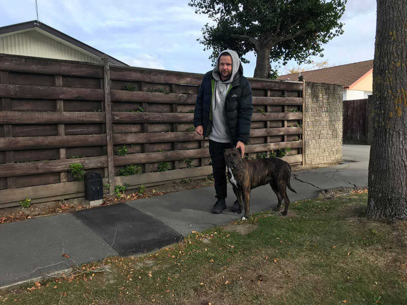 Ethan Gerken takes his dog Ruby for a walk down Murmont St in Bishopdale.