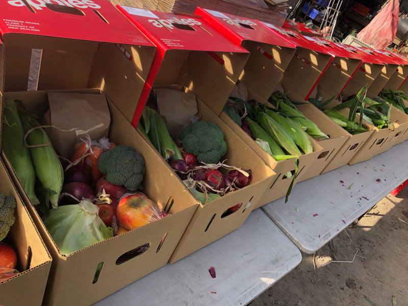 Fresh produce: Fruit and vegetables set to go out. Photos: Cam Booker