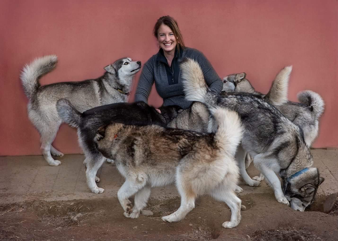 Husky Rescue NZ founder Michelle Attwood says the charity has been hit hard financially. Photo:...