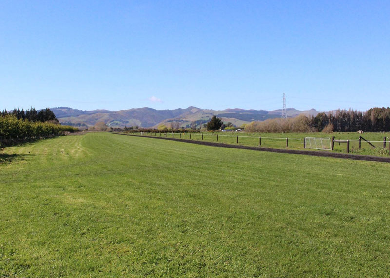 PROGRESS: The proposed masterplan for a reserve development at this site on Birchs Rd, Prebbleton...