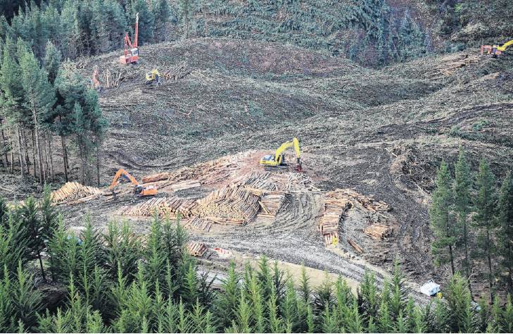 Businesses involved in the forestry sector are critical of the proposed Forests (Regulation of...