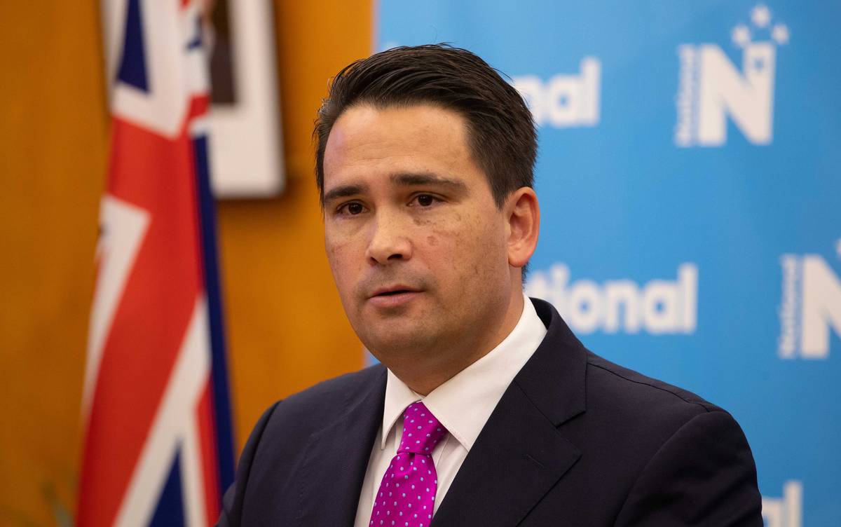 Simon Bridges became leader in February 2018 after Sir Bill English stepped down. Photo: NZ Herald 