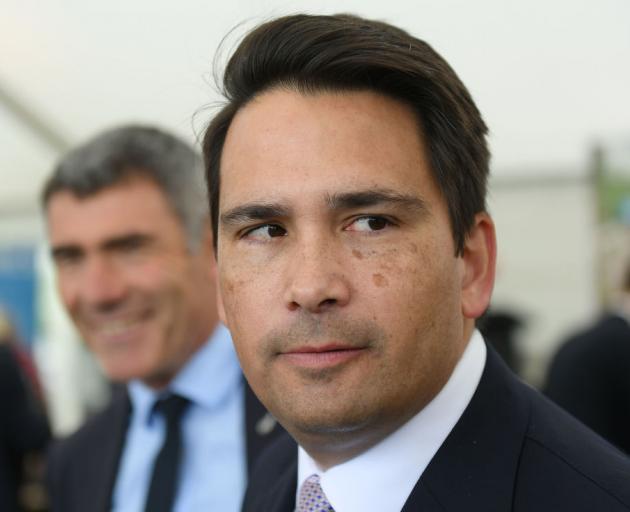 National Party leader Simon Bridges. Photo: Getty Images 