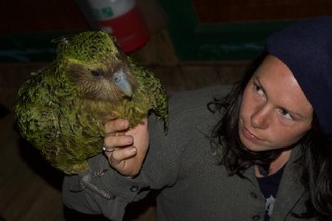 Deidre Vercoe with Sirocco. Photo: DOC