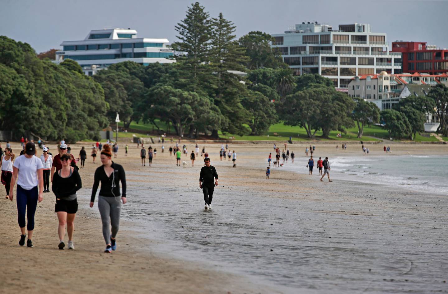 Yesterday marked a total of 24 days since there was a new confirmed case in the country. Photo:...