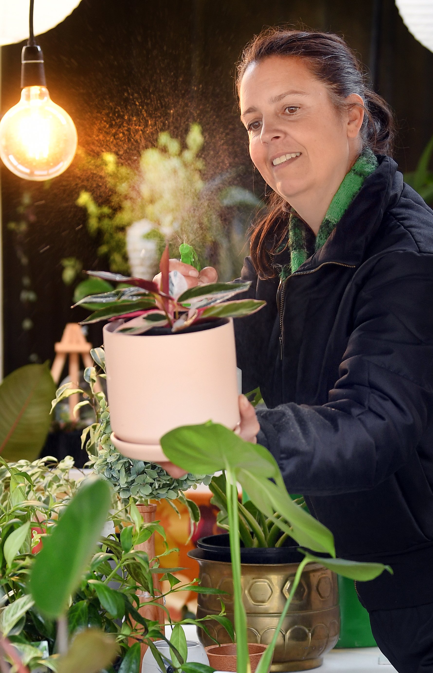 Residence on Blacks Road owner Sara Jackson-Falconer spritzes a Calathea Triostar (Stromanthe)...