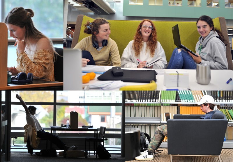 Studying for exams ... University of Otago students (clockwise from top left) Ella Redmond (20),...