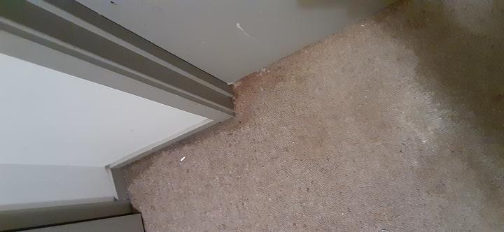 There were still patches of wet carpet after the contractors had completed their work, Anne said....
