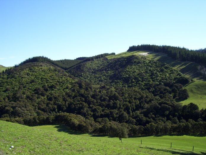 Landowners could be offered incentives to protect biodiversity under a Waimakariri District...