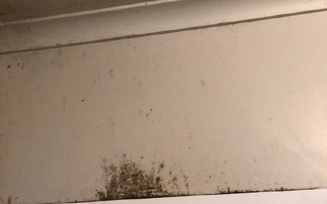 The leak caused mould on the ceiling and walls. Photo: Supplied