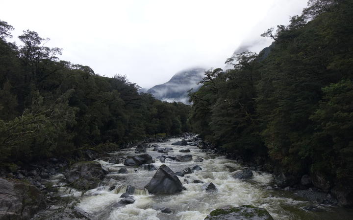 Photo: RNZ
