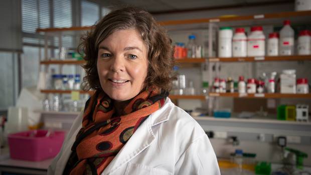 The PM's chief science adviser Juliet Gerrard. Photo: NZH / Greg Bowker