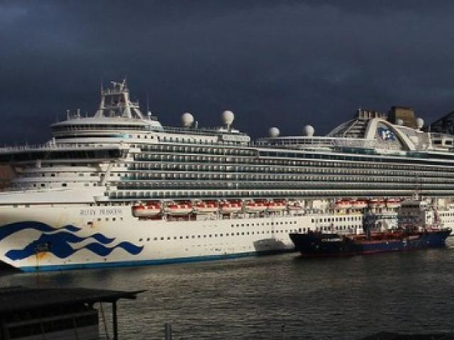 Ruby Princess visited Dunedin earlier this month. Photo: Twitter