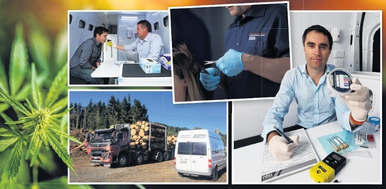 Various types of testing being carried out by the TDDA's staff including hair and urine samples. They also make random visits to work sites, as can be seenby the TDDAvan at the forestry site. PHOTOS: SUPPLIED