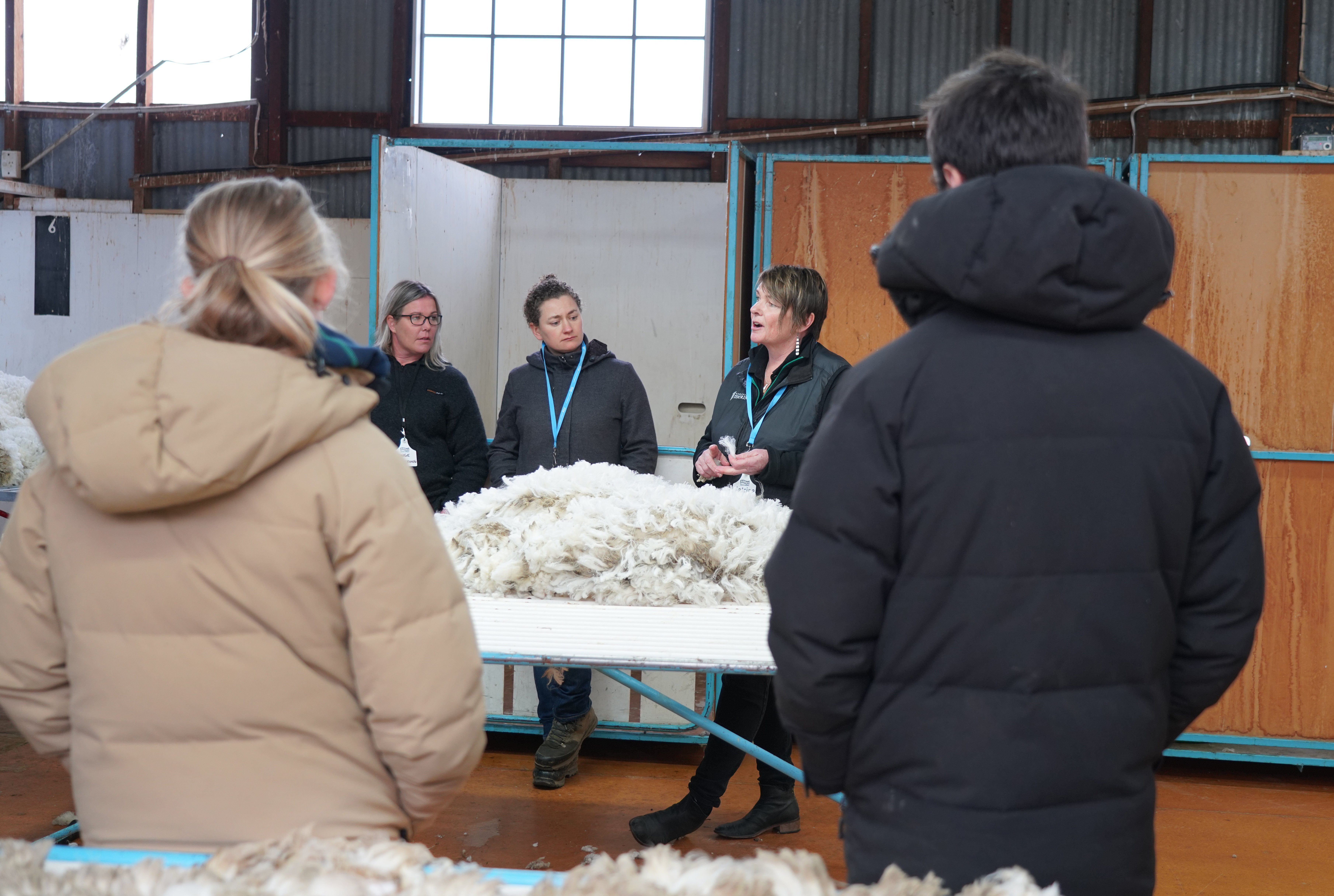 New Zealand Merino Company area manager Katrina Bishop talks fine wool, watched by PGG Wrightson ...