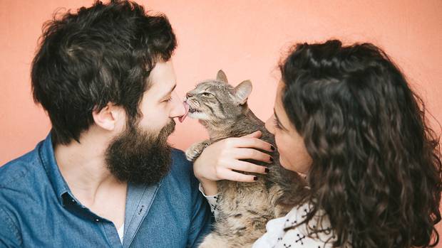 Cat-themed dating app Tabby has launched just in time for International Cat Day. Photo: Getty Images