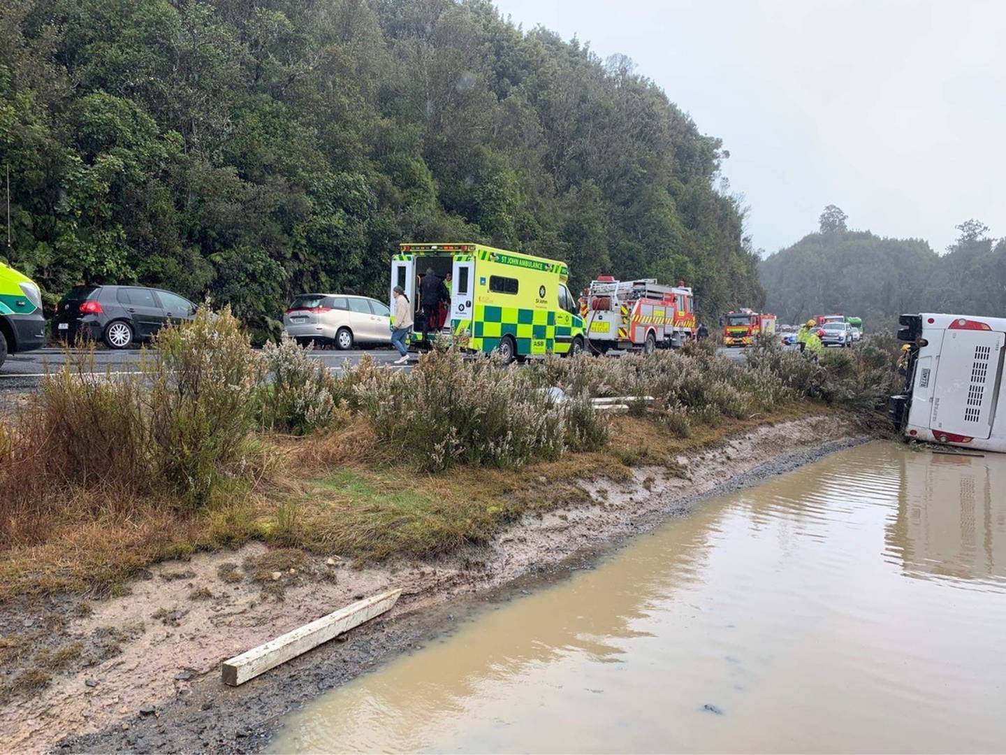 The scene of the crash. Photo: Supplied via NZ Herald