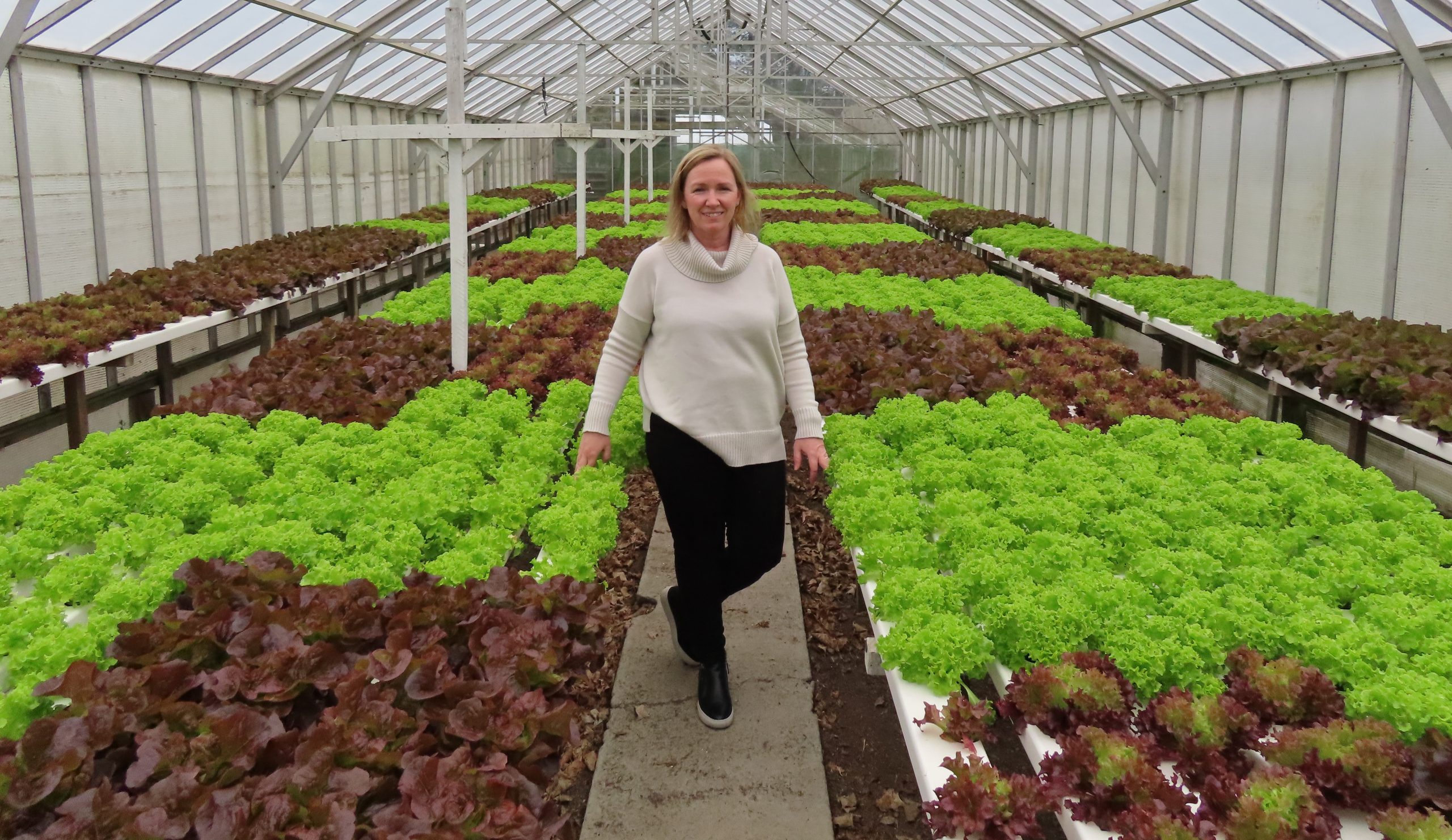 Georgie Wade with some of the gourmet lettuces being grown in their commercial glasshouses. Photo...