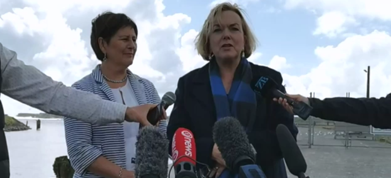 National leader Judith Collins visited the West Coast today. Image: NZ Herald