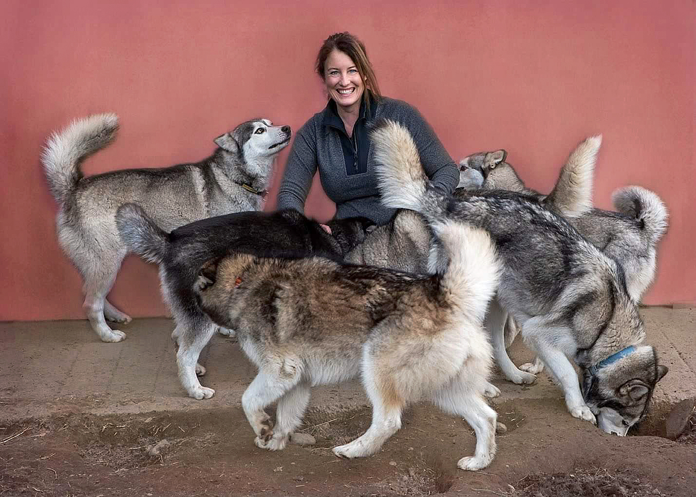 For more than 10 years Michelle Attwood has been rescuing and rehoming huskies through her...