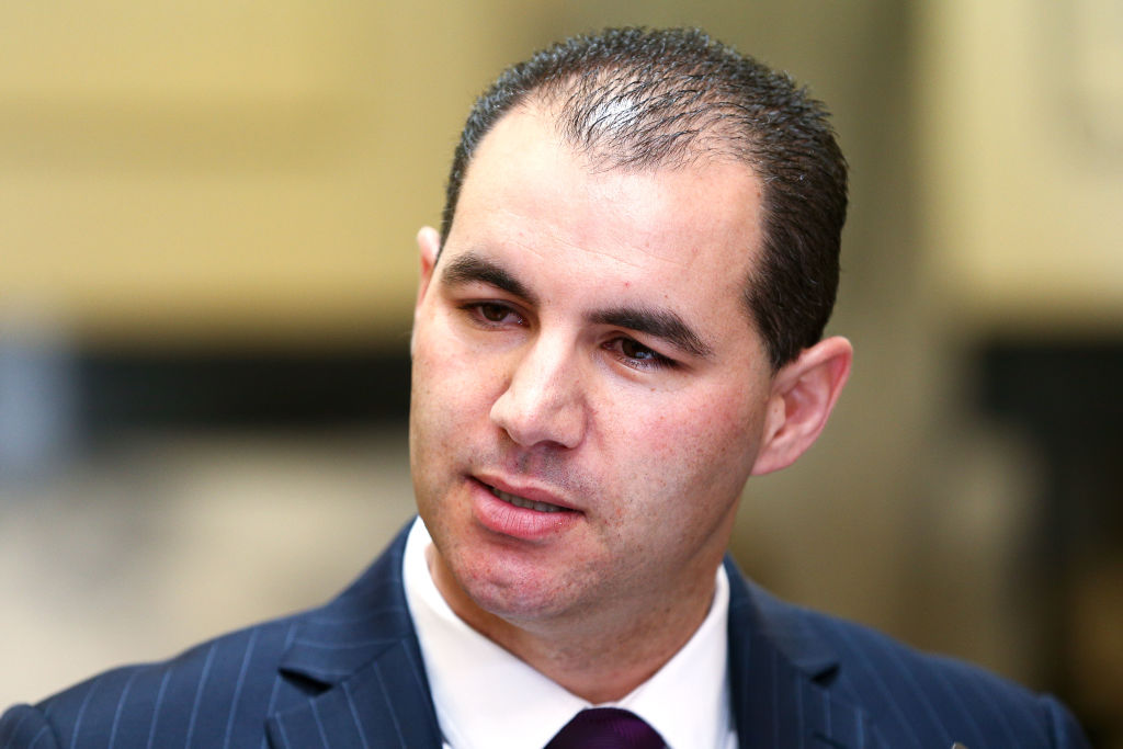 Jami-Lee Ross abandons attempt to retain Botany seat | Otago Daily Times  Online News