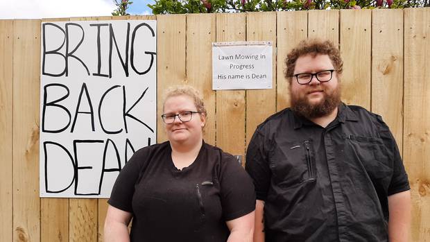 Annalise Orchard and Alistair Nicholson are devastated after thieves made off with their beloved...