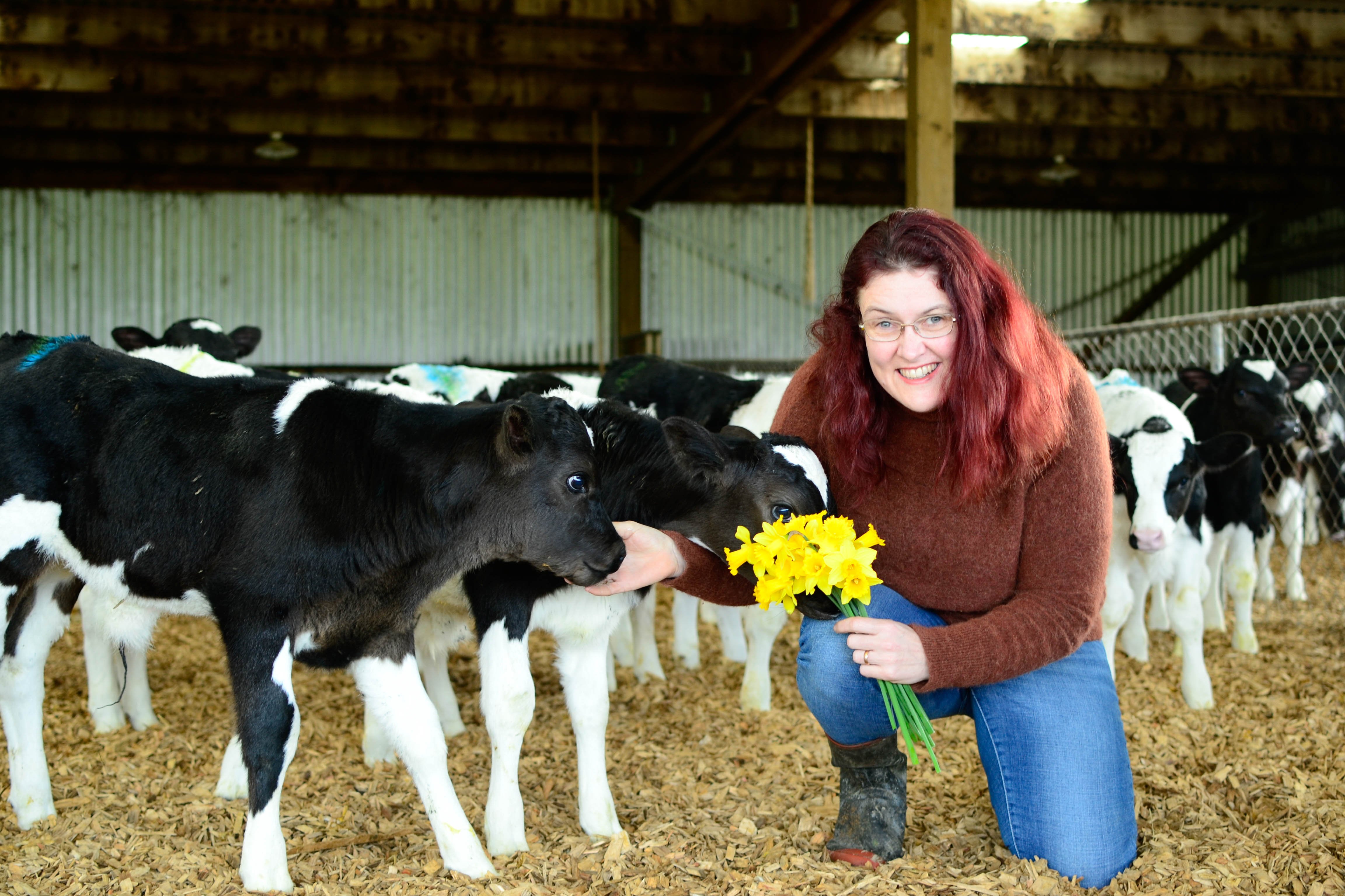 Dairy farmer fan of ad-lib feeding