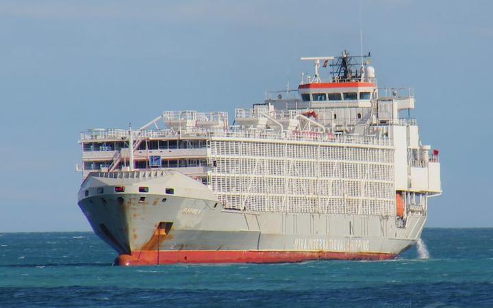 The Gulf Livestock 1. Photo: Frans Truyens via Vessel Finder